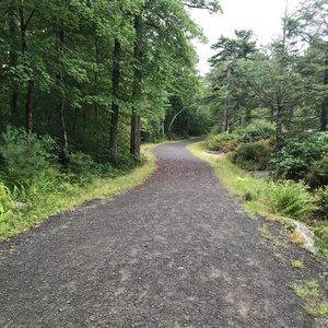 Meet your Posher, Zain